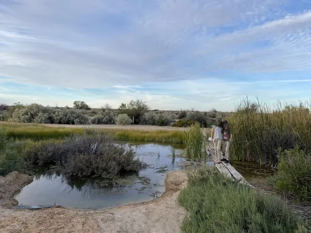 Natural mineral spring water in a shallow earthy pool beside a narrow wooden boardwalk with two children standing near tall green reeds and.