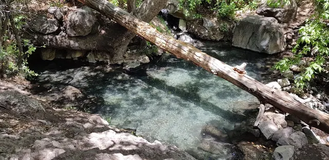 Jordan Hot Spring, New Mexico