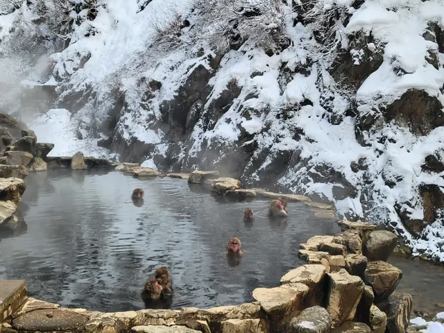 Jigokudani Onsen