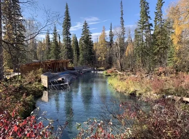 Liard River Hot Springs