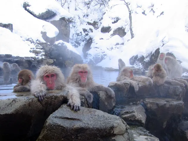 Jigokudani hotspring in Nagano Japan 001