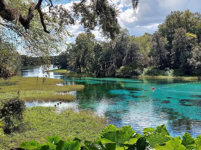 Rainbow Springs, Florida.