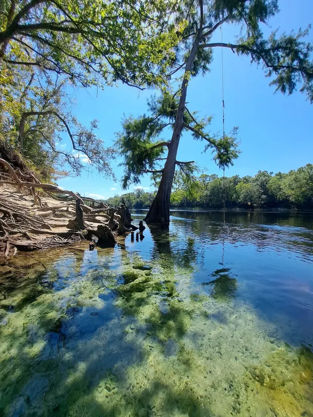 Royal Springs, Florida.