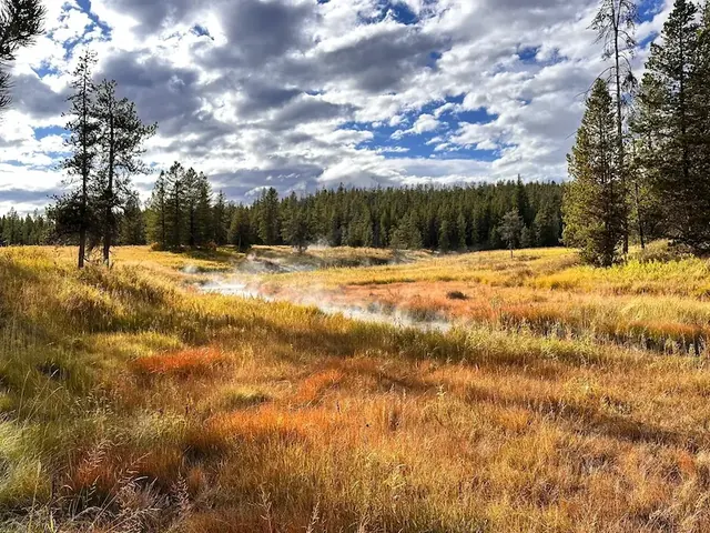 Steaming hot springs in an autumn color meadow at huckleberry hot springs in wyoming 