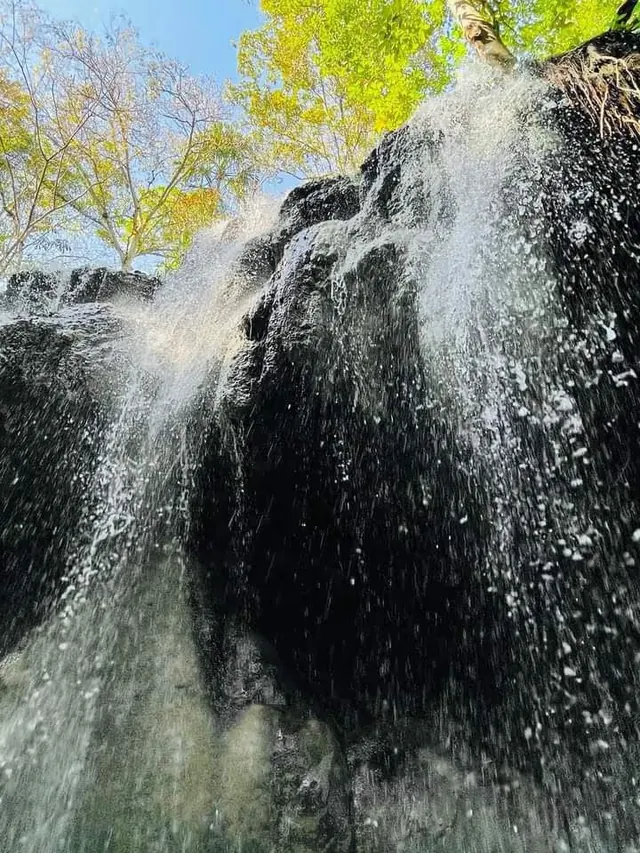 Close-up low angle view of water falling over dark rocky cliff with sunlight filtering through green leaves above at Finca El Paraiso water.