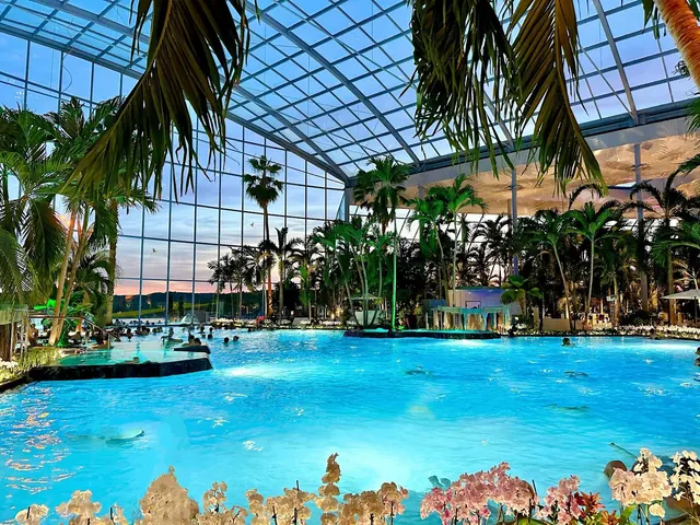 Evening view of the indoor mineral pool at Thermen & Badewelt Sinsheim illuminated with blue lighting, surrounded by palm trees and flowers.