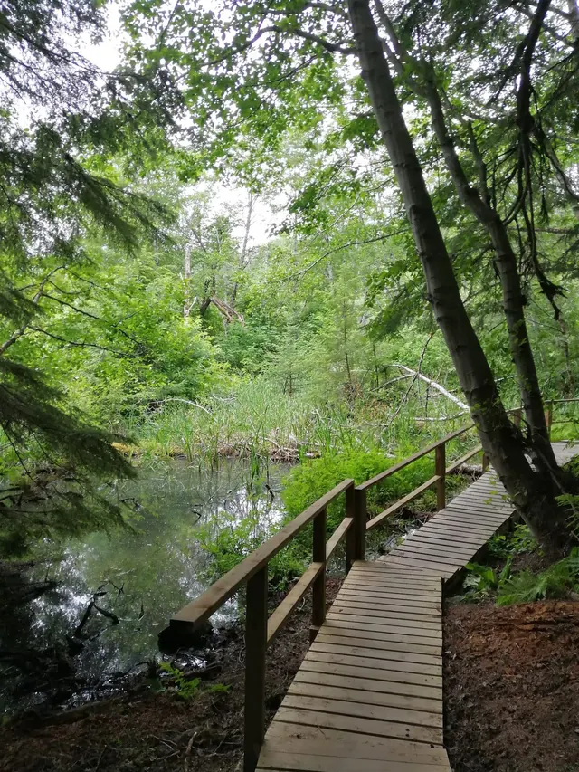 Hlgu Isgwit Hot Springs, Canada.