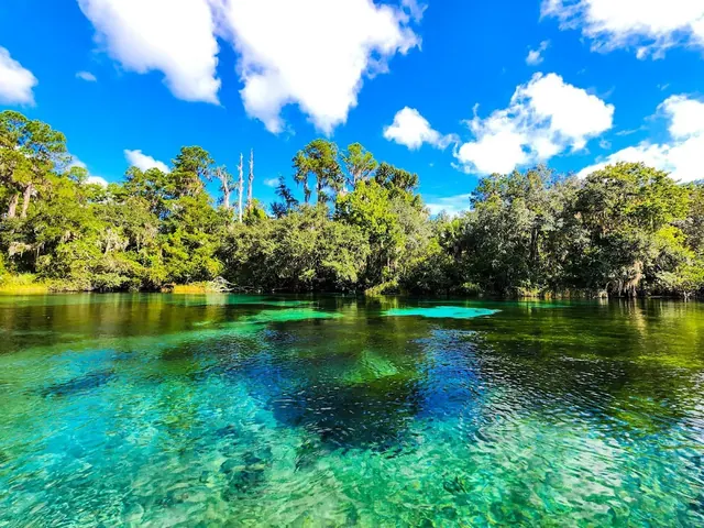 Rainbow Springs