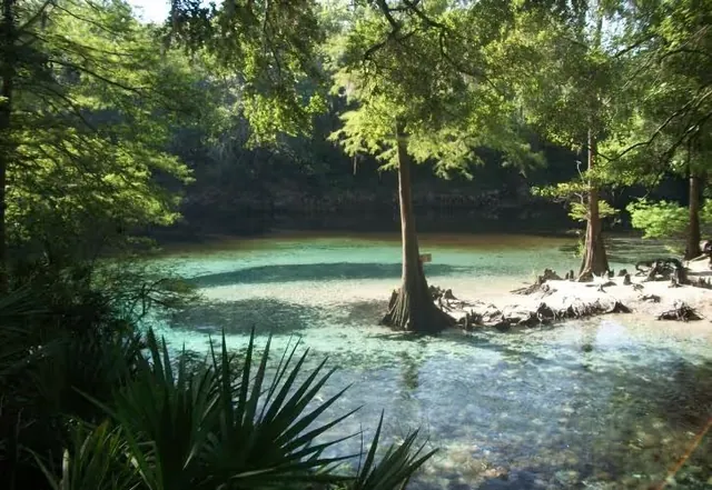 Madison Blue Spring, Florida.