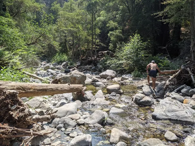 Rocky stream flowing through the forest with a person stepping on stones amidst green trees at Sykes Hot Springs near Big Sur.