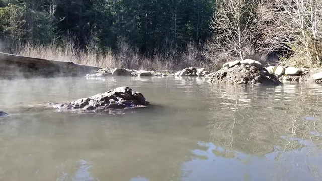 Close view of a mineral-rich hot spring pool with visible steam rising and rocks forming a boundary in a forested area at McCredie Hot Spri.