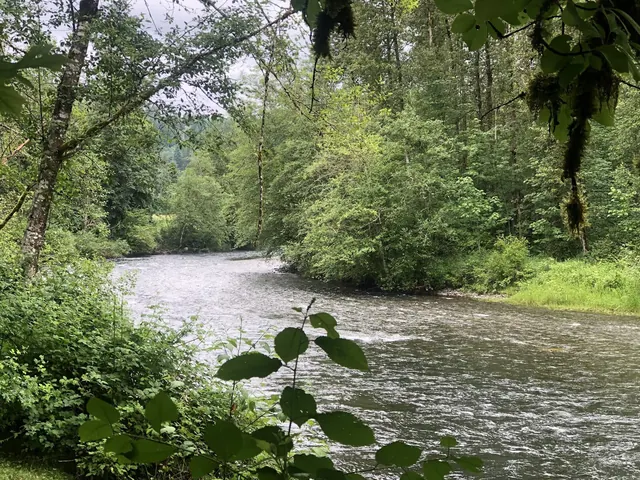 Flaming Geyser State Park, Washington.