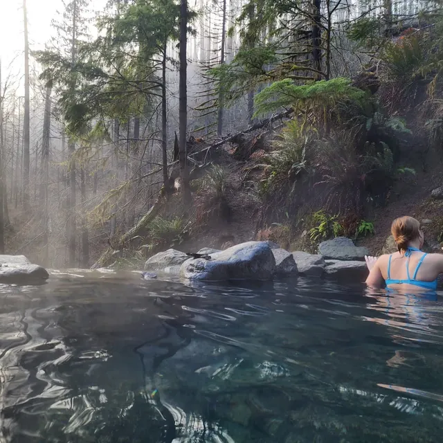 Person enjoying a hot spring soaking pool amid tall trees and humid forest steam at Terwilliger Cougar Hot Springs in Oregon.