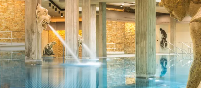 Thermal bathing pool — Thermalium (Teplice)
