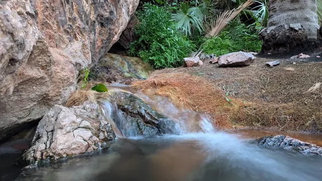 Gentle stream cascading over stones into a shallow mineral pool with tropical foliage at Zebedee Springs.