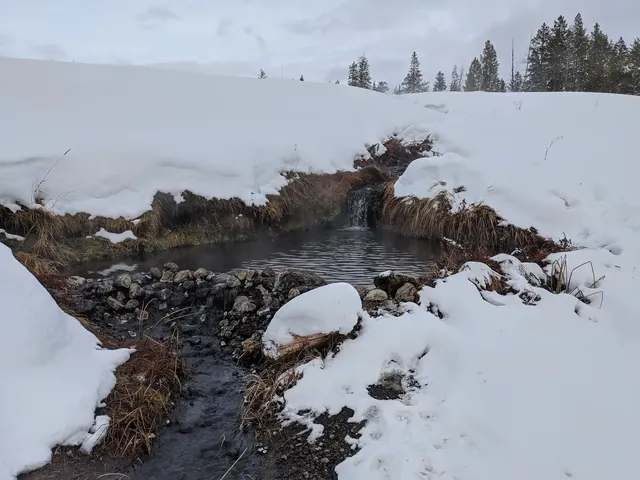 Polecat Hot Springs pool surrounded by snow with steam rising near Moran, Wyoming in a winter forest setting.