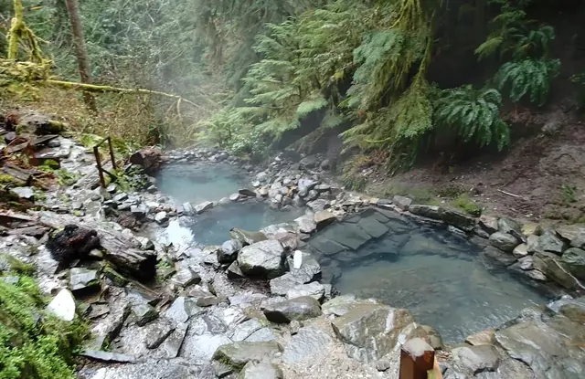 Terwilliger Hot Springs