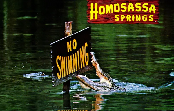 "Homosassa Springs - No Swimming" (11206574964)