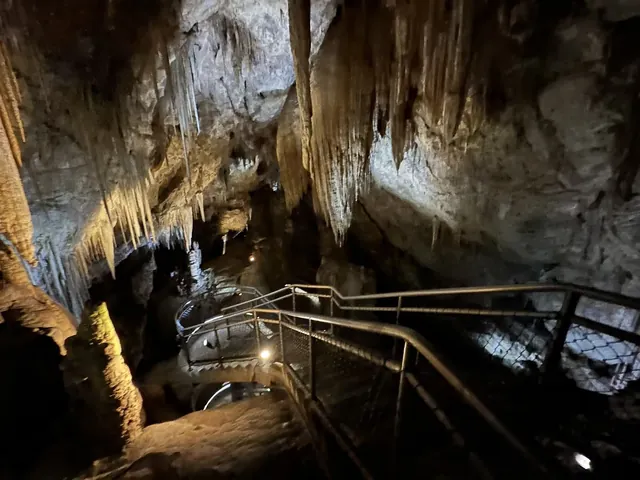 Winding metal stairs descending into a dark cave with many stalactites hanging from the ceiling at Hastings Caves Tasmania Australia.