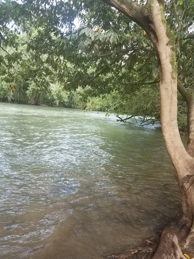 Warm Spring Creek at The Lodge at Big Falls, Belize.