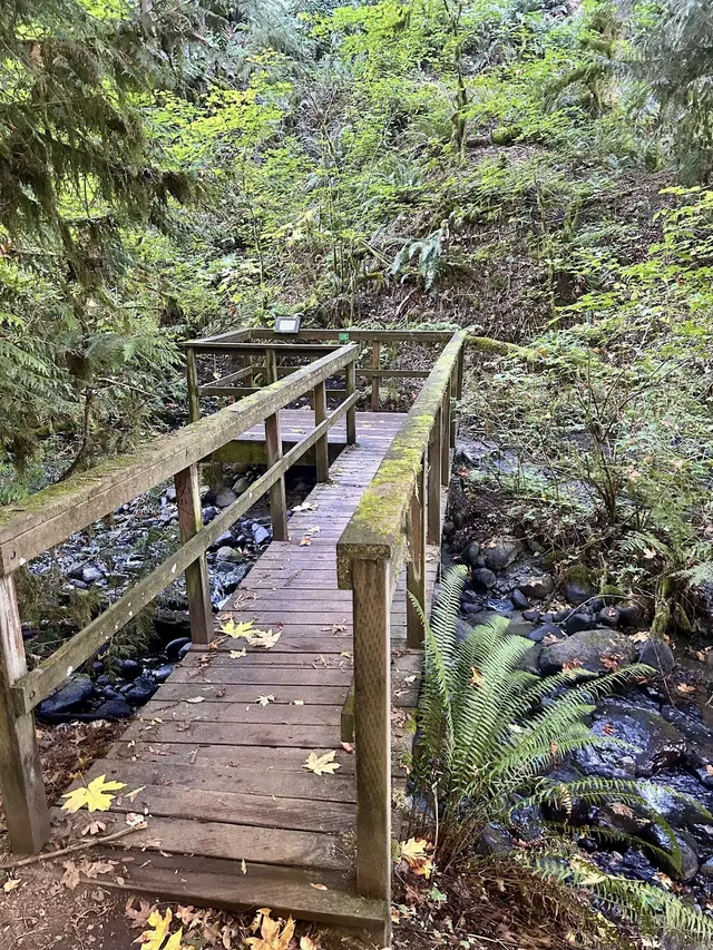 Flaming Geyser State Park, Washington.