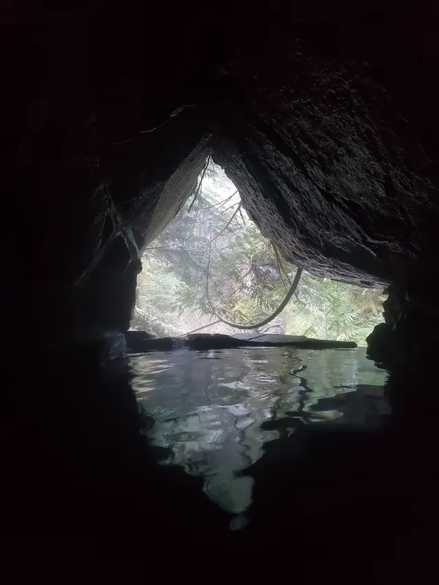 Interior view from a dark cave hot spring pool looking out to daylight at mossy trees and forest foliage at Goldmyer Hot Springs in Washing.
