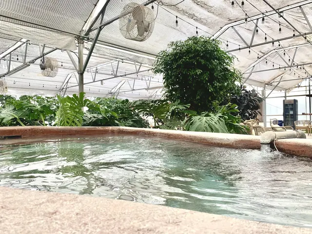 Sand Dunes Pool