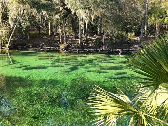 Blue Spring