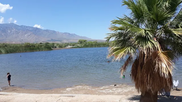 Lake beach area at Roper Lake State Park Hot Spring near Safford Arizona showing people enjoying water with palm trees and mountain backdro.