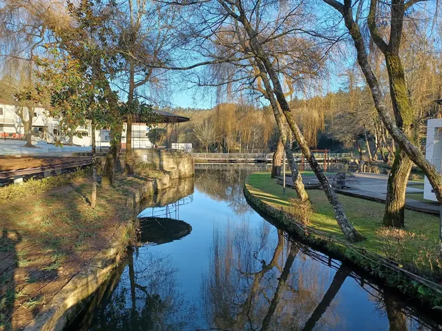 Water channel lined with grassy banks and leafless trees in early winter light at Termas de S. Jorge near the town of Santa Maria da Feira.