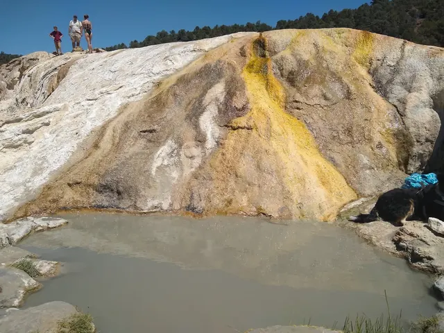 Travertine Hot Springs pool with cloudy mineral water and bright yellow mineral deposits on rock wall, visitors and dog visible nearby.