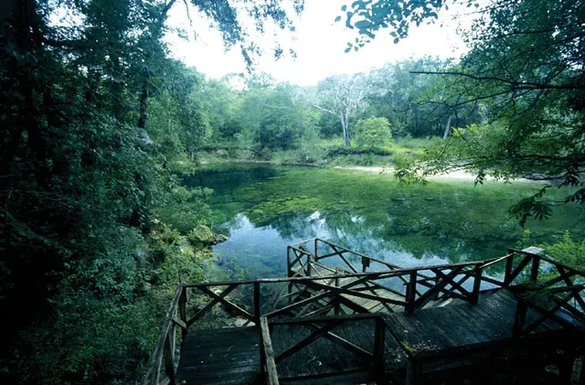 FlTroySpring