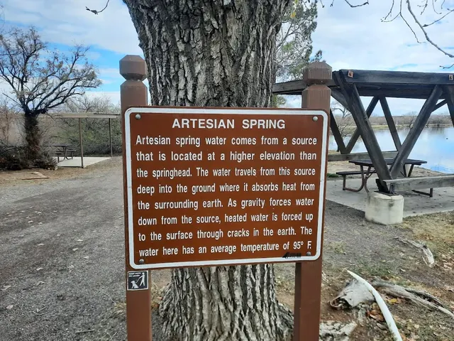 Dankworth Ponds Warm Springs, Arizona.