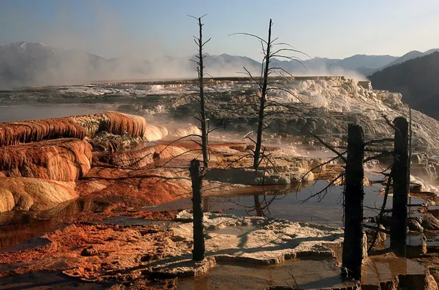 Mammoth Hot Springs, Wyoming, United States