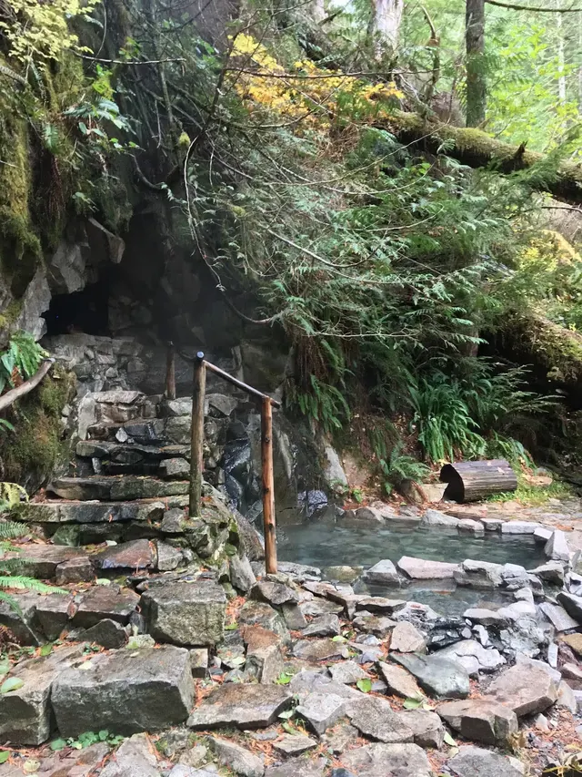 Stone steps with wooden railing lead down to a steaming hot spring soaking pool surrounded by mossy rocks and dense green forest at Goldmye.