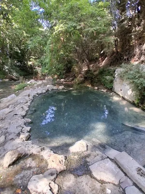 Rock lined natural hot spring pool on the riverside surrounded by trees at pozas de alhama de granada in spain