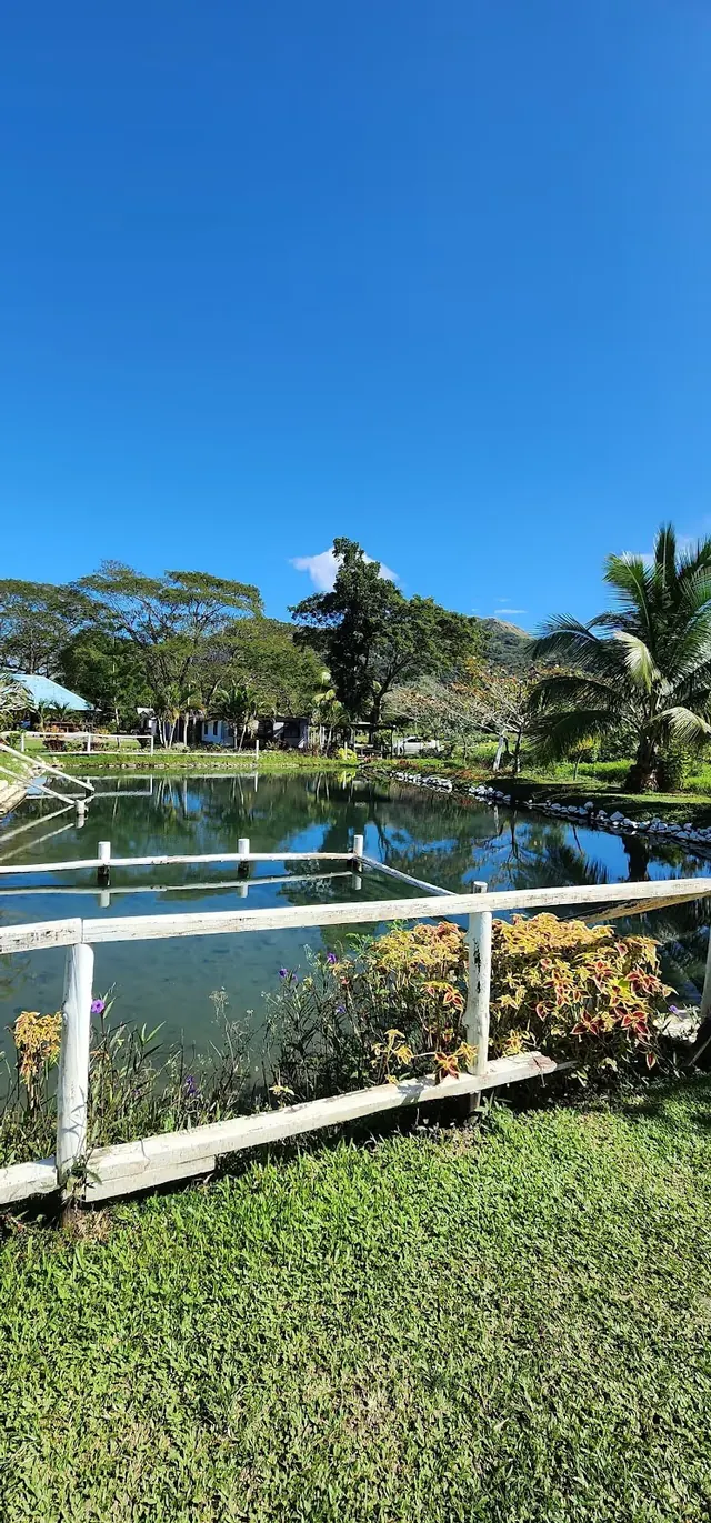 Tifajek Mud Pool and Hot Spring