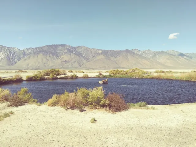 A black mineral soaking pool at Dirty Sock Hot Springs in California is ringed by bushes and desert ground with mountain ridges in the back.