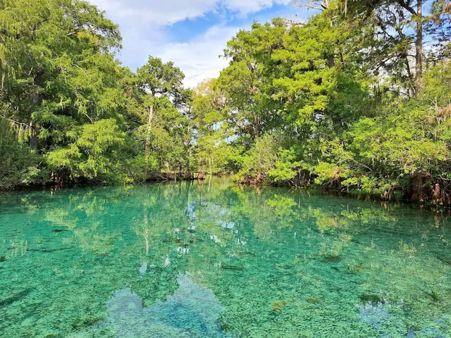 Fanning Springs, Florida.