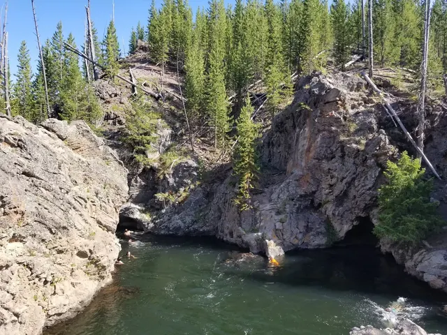 Natural mineral pool nestled between rocky cliffs and pine trees at Firehole River Swimming Area in Wyoming with swimmers in the water.