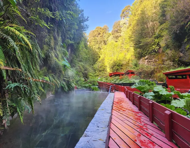 Termas Geométricas