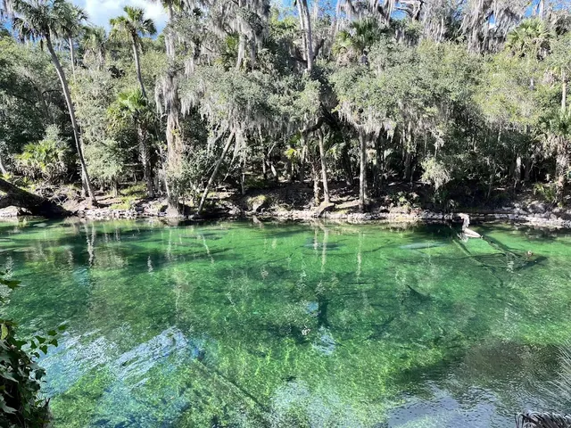 Blue Spring, Florida.