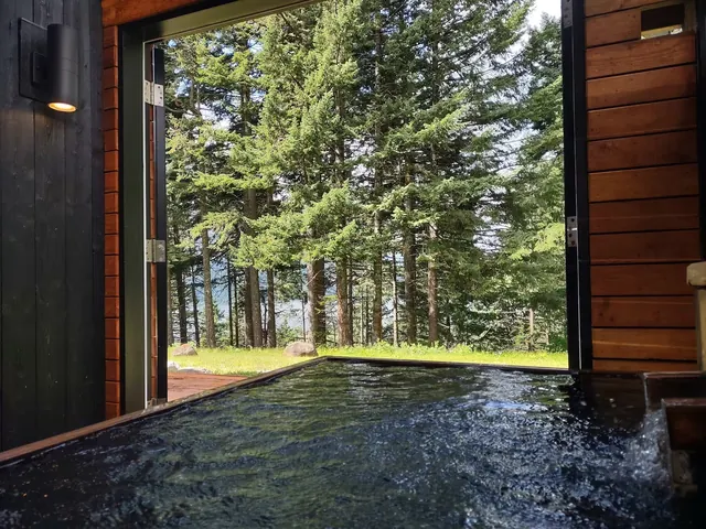 Indoor hot spring soaking pool at Tenzen Springs with open sliding doors revealing tall pine trees outside near Stevenson Washington.