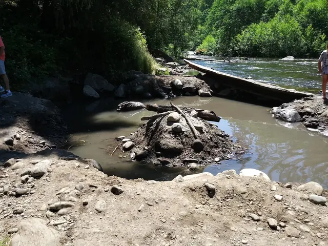 A small muddy hot spring pool near a flowing river with green trees and rocky terrain in Oakridge, Oregon at McCredie Hot Springs.