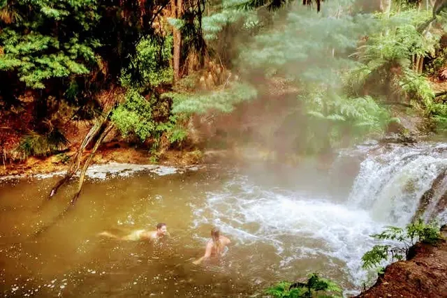 Steam rising from Kerosene Creek hot spring pool with visitors soaking near a small waterfall in Rotorua New Zealand forest.