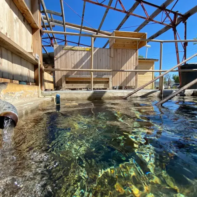Camp Aqua Hot Springs