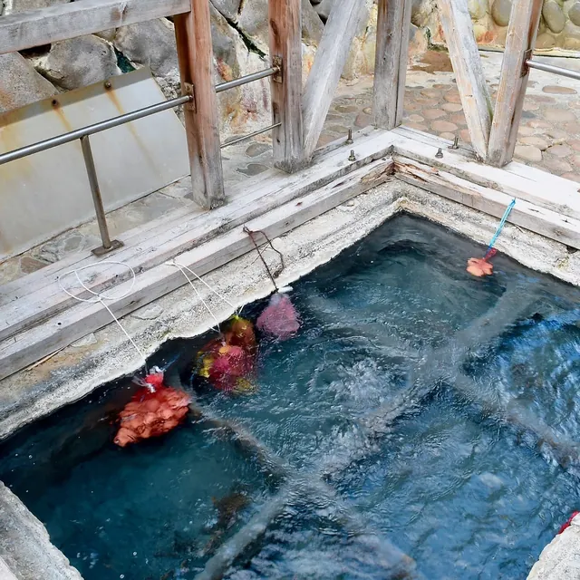Tsuboyu (Yunomine Onsen), Japan.