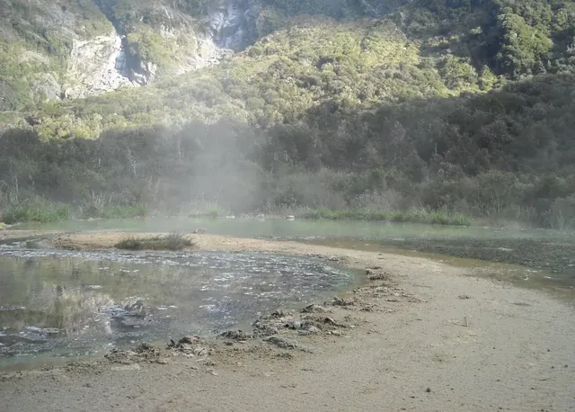 Welcome Flat Hot Pools steaming gently near rocky cliffs with dense green forest in Fox Glacier, New Zealand.