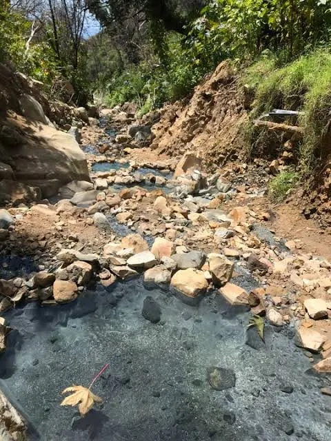 natural hot spring pool surrounded by rocks and lush vegetation at montecito hot springs california