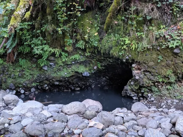 Bingham Hot Springs